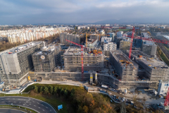 Ilot-A-novembre-2021-6