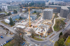 COE-janvier-2022-10
