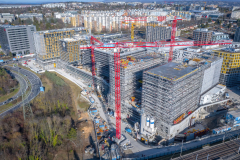 Ilot-A-fevrier-2022-14