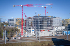 Ilot-A-fevrier-2022-15