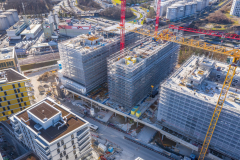 Ilot-A-fevrier-2022-19