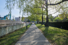P1014674