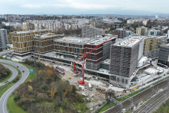 Ilot-A-novembre-2022-25
