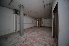 OMS-decembre-2022-234