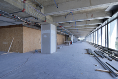 OMS-juillet-2023-143
