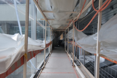 OMS-aout-2023-106