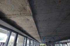 OMS-juin-2024-118