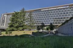 OMS-juillet-2024-10