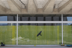 OMS-juillet-2024-100