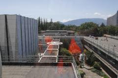 OMS-juillet-2024-106