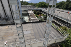 OMS-juillet-2024-108