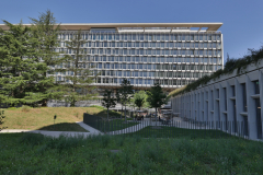 OMS-juillet-2024-11
