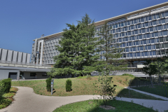 OMS-juillet-2024-12