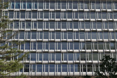 OMS-juillet-2024-14