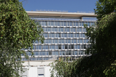 OMS-juillet-2024-2