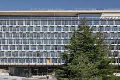 OMS-juillet-2024-5
