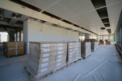 OMS-aout-2024-115