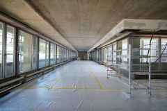 OMS-aout-2024-145