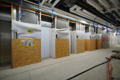 OMS-aout-2024-162