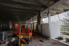 OMS-septembre-2024-11