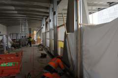 OMS-septembre-2024-12