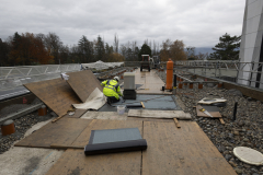 OMS-novembre-2024-11