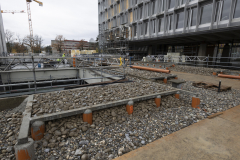 OMS-novembre-2024-12