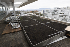 OMS-novembre-2024-134