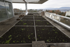 OMS-novembre-2024-136