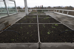 OMS-novembre-2024-137