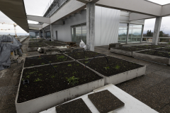 OMS-novembre-2024-138