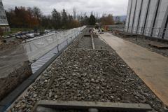 OMS-novembre-2024-14