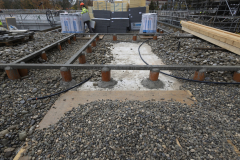 OMS-novembre-2024-15