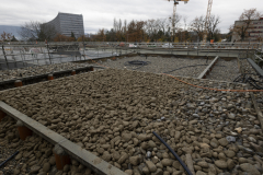 OMS-novembre-2024-18