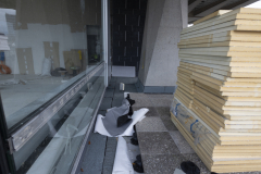 OMS-novembre-2024-25