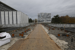 OMS-novembre-2024-3