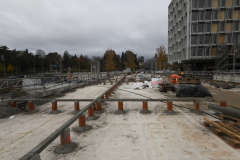 OMS-novembre-2024-39