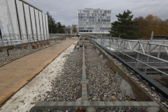 OMS-novembre-2024-4