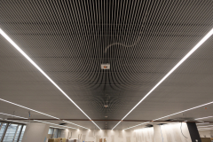 OMS-novembre-2024-78