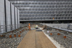 OMS-novembre-2024-9
