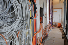 OMS-decembre-2024-113