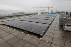 OMS-decembre-2024-50