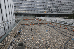 OMS-decembre-2024-80