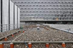 OMS-decembre-2024-81