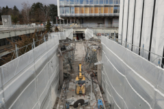 OMS-janvier-2025-10