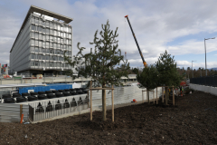 OMS-janvier-2025-16