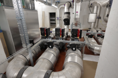 OMS-janvier-2025-28