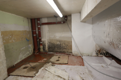 OMS-janvier-2025-30