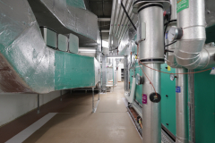 OMS-janvier-2025-33