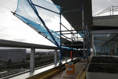 OMS-janvier-2025-72